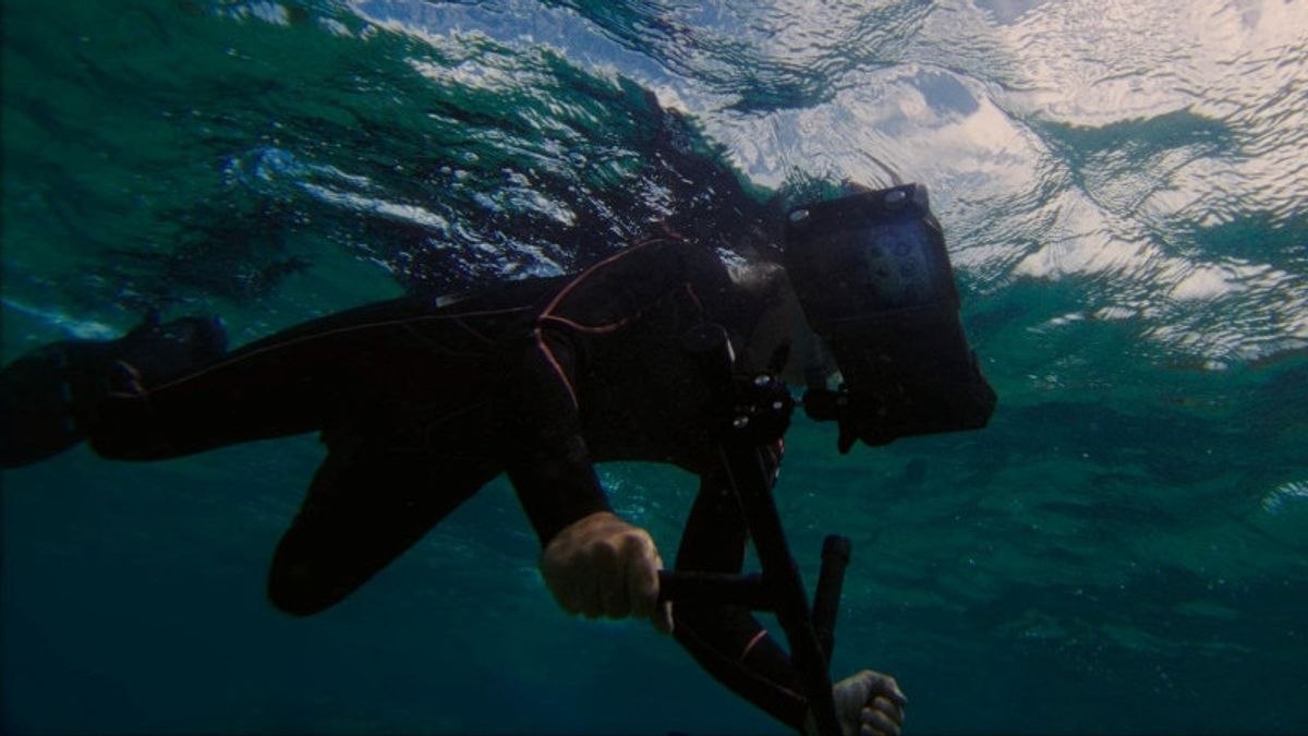 Samsung soutient la récupération des réelles de corail avec un téléphone Galaxy