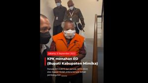KPK Tegaskan Tak Ada Kriminalisasi di Kasus Bupati Mimika