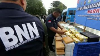 Peredaran Narkoba Ancam Libur Panjang Natal-Tahun Baru, BNN DIY Siaga di Bandara dan Stasiun