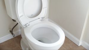 Ingin Buktikan Kerjanya Bagus, Seorang Petugas Kebersihan Minum Air Toilet