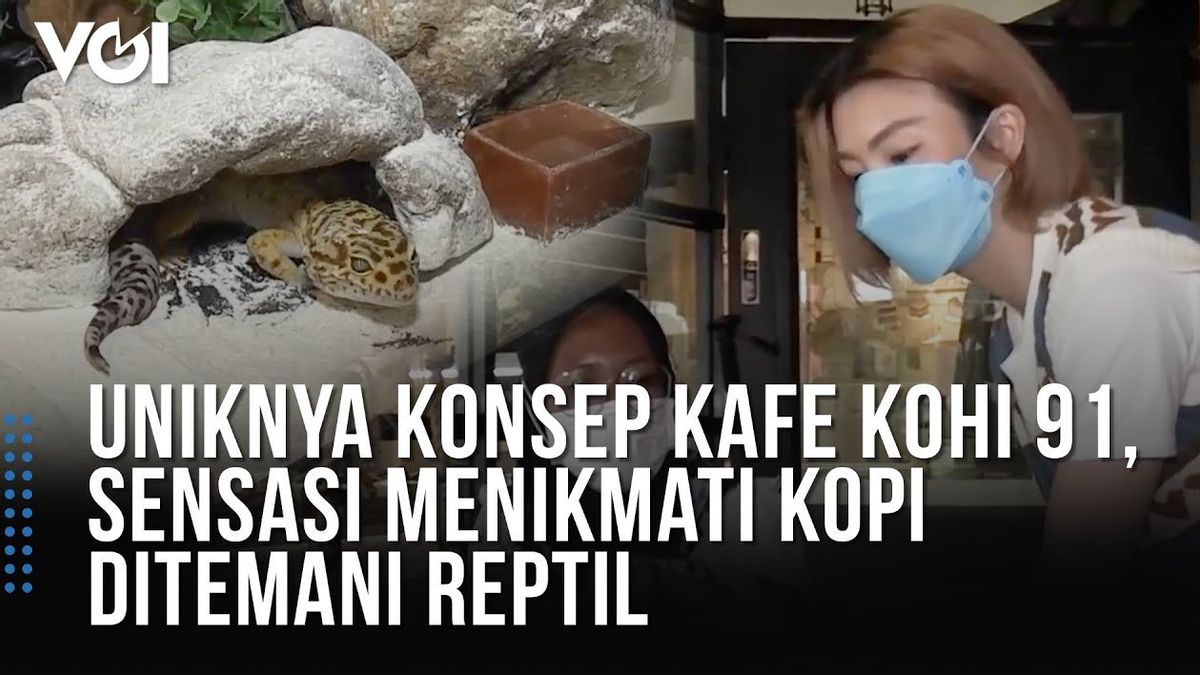 VIDEO: Unique Cafe KOHI 91 Medan, Enjoy Coffee Accompanied By Reptiles