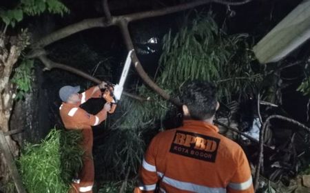 Cuaca Ekstrem di Bogor, BPBD Catat 6 Rumah Rusak dan 7 Pohon Tumbang Dalam Sehari