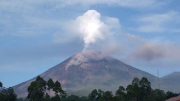 تحديث يوم الثلاثاء 14 ديسمبر ، مجموع عدد القتلى من الغيوم الساخنة من جبل سيميرو يصل إلى 48 شخصا