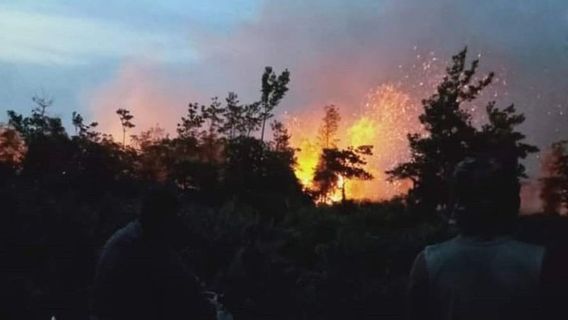 Two Peat Fields in Singkawang City Burnt