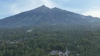 Pengumuman, Ini Jadwal Penutupan Jalur Pendakian Gunung Merbabu untuk Pemulihan Ekosistem