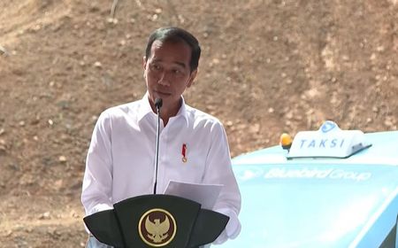 Pesan Jokowi ke Investor: Hati-hati Tahun Depan Harga Tanah di IKN Bisa Naik