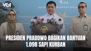 Presiden Prabowo Subianto Bagikan Bantuan 1.098 Sapi Kurban, Total Rp100 Miliar