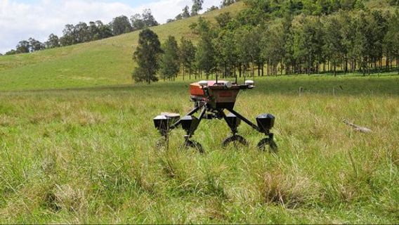 SwarBot:地面の損傷を防ぐ洗練された牛飼育者ロボット