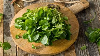 Cocok untuk Diet, Ini Sayuran Paling Sehat Menurut Sains