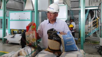 食糧備蓄を守り、Bulog Serap 700,000トンの農家の米を2024年6月まで吸収
