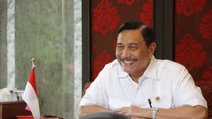 Luhut Sebut DEN Sedang Godok Deregulasi Berbasis AI, Bakal Paparan ke Prabowo