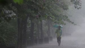 Cuaca 17 Januari, Waspada! Hujan Petir di Jaksel dan Jakbar Rabu Siang