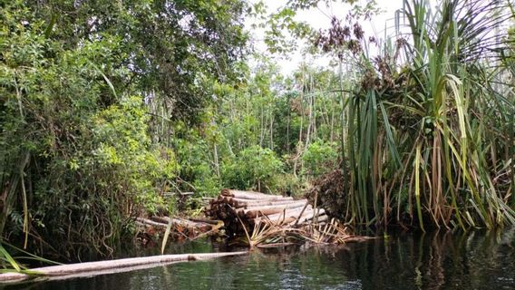 メランティ諸島の住民がトラに殺された、リアウBBKSDAが野生生物の生息地のケースの場所を呼ぶ