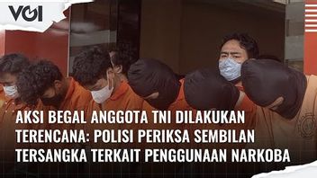 视频：两名印尼国民军成员被捕的九名肇事者，这是Kronoligisnya