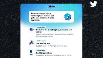Wow! The New Blue Twitter Subscription Package Is Now Present In Japan