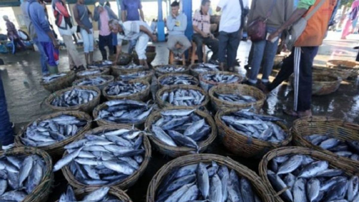 PT Perikanan Indonesia已准备好在开斋节之前满足鱼类需求