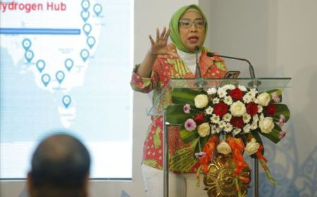 Pemerintah Percepat Penurunan Emisi dalam Waktu 5 Tahun