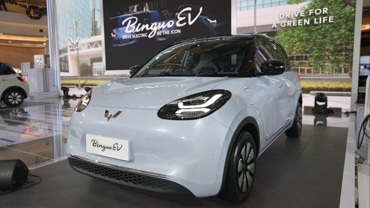 Develop EV Ecosystem, Wuling Will Present 100 Fast Charges In Indonesia In 2024