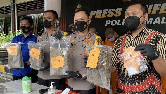 Arrest 9 Narcotics Traffickers, Malang Police Securs 7.28 Kg Of Marijuana