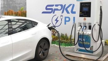 電気生活、未来を変える小さな一歩