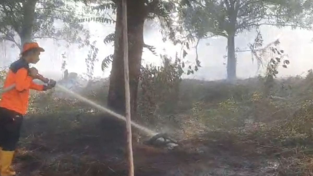 火災の拡大を止め、西カリマンタンの4つの会社から森林火災の場所を封印するKlhk