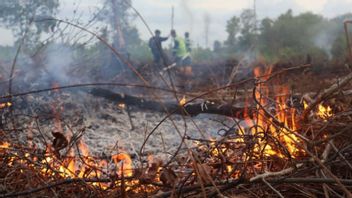 In A Day, Land Burns In Palangka Raya Area 9 Hectares