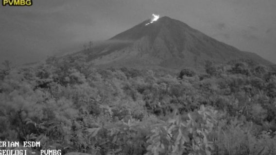 L’éruption du mont Semeru avec une éruption allant jusqu’à 400 mètres