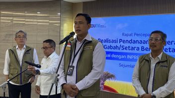 Expensive Packaging Plastic, Bulog Boss Guarantees No Increase in Rice Prices