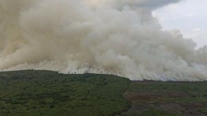 Satgas Karhutla Riau Padamkan 9 Titik Api