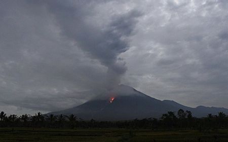 Hujan Abu Vulkanik Semeru Terdampak ke Probolinggo Hingga Lumajang