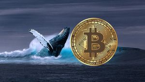 Lama Tertidur, Whale Bitcoin Mulai Bangkit Pindahkan Ribuan BTC ke Wallet Baru