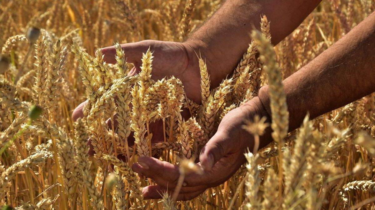 Beating Ukraine And The West, Russia Extends 2 Years Of Embargo On Agricultural Products