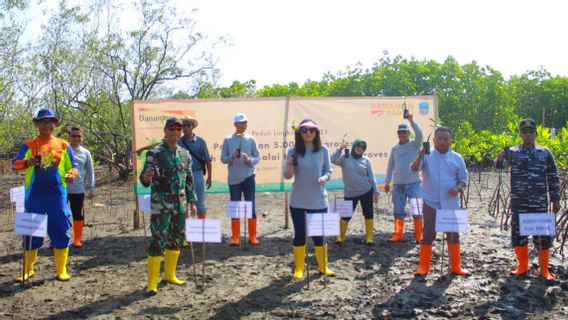 Danamon Cares For Planting 5,000 Mangrove Trees In Pangandaran