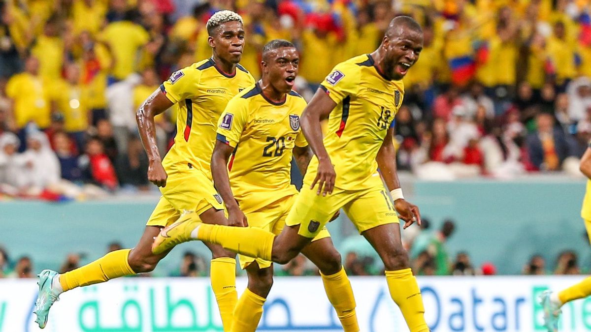 Presidential Of The 2022 World Cup, Netherlands Vs Ecuador: Group A Winners' Determination Party