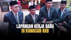 Indonesia Doesn't Want Only Electric Exports To Singapore