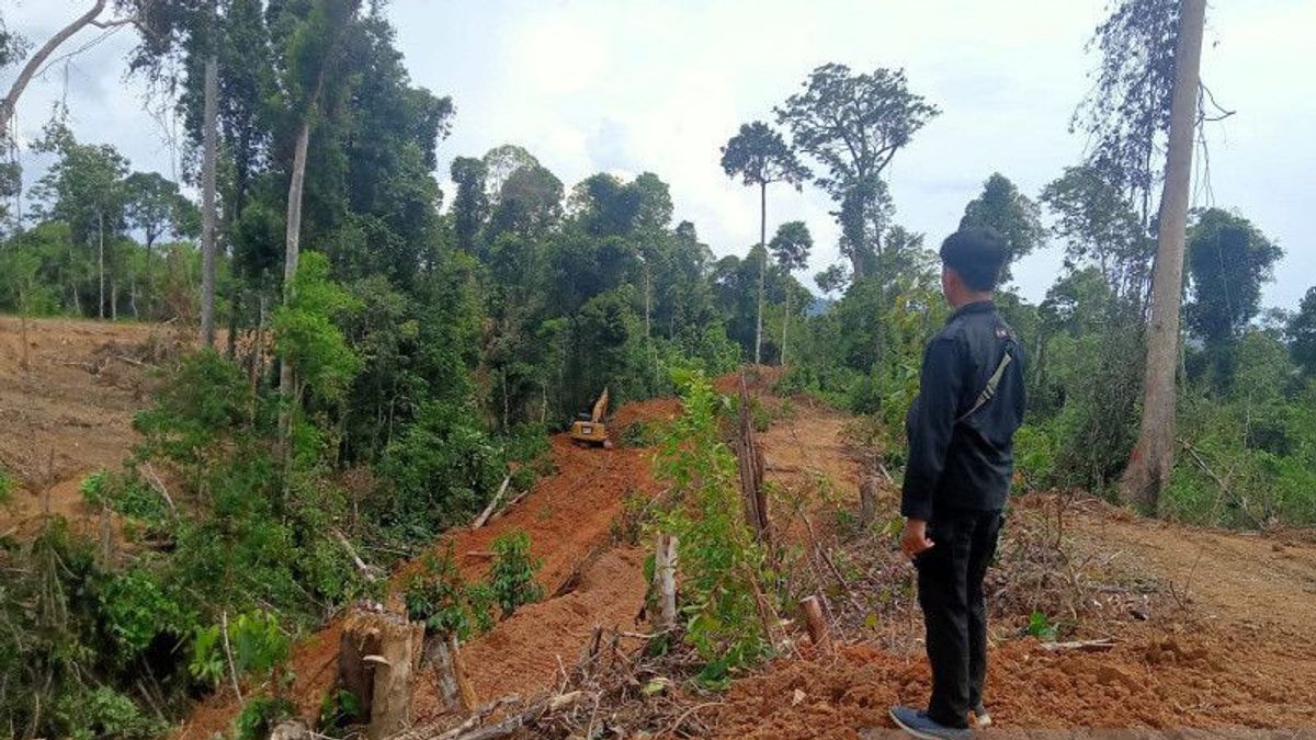Tak Melindungi Hutan di Mukomuko, PT Anugerah Pratama Inspirasi Disanksi Teguran dari KLHK