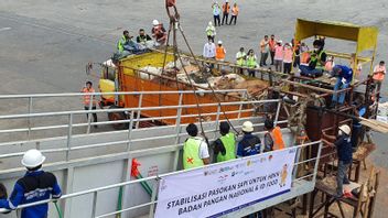 Penuhi Kebutuhan Ramadan dan Lebaran, PT Berdikari Siap Mobilisasi Sapi ke Jabotabek dan Bandung Raya