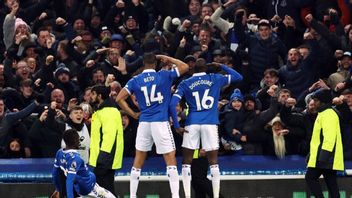 Newcastle United Tumbang, Everton Out Of The Relegation Zone