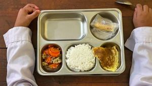 Marak Kasus Keracunan MBG, Ini Tanda-Tanda Makanan Basi yang Dapat Dikenali 