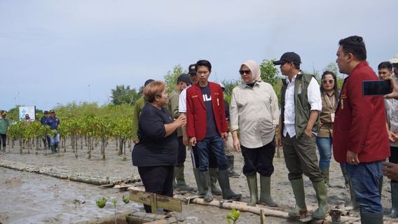 Menhut Targetkan Tanam Mangrove di 1.500 Hektare Lahan Setahun