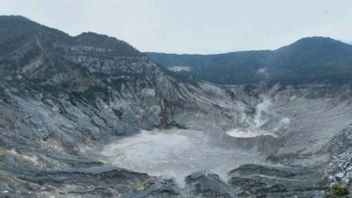    Tangkuban Parahu Alami Peningkatan Aktivitas Gempa Sampai 134 Kali