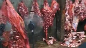 Waspada, Marak Daging Sapi Gelonggongan Dijual Menjelang Lebaran di Boyolali
