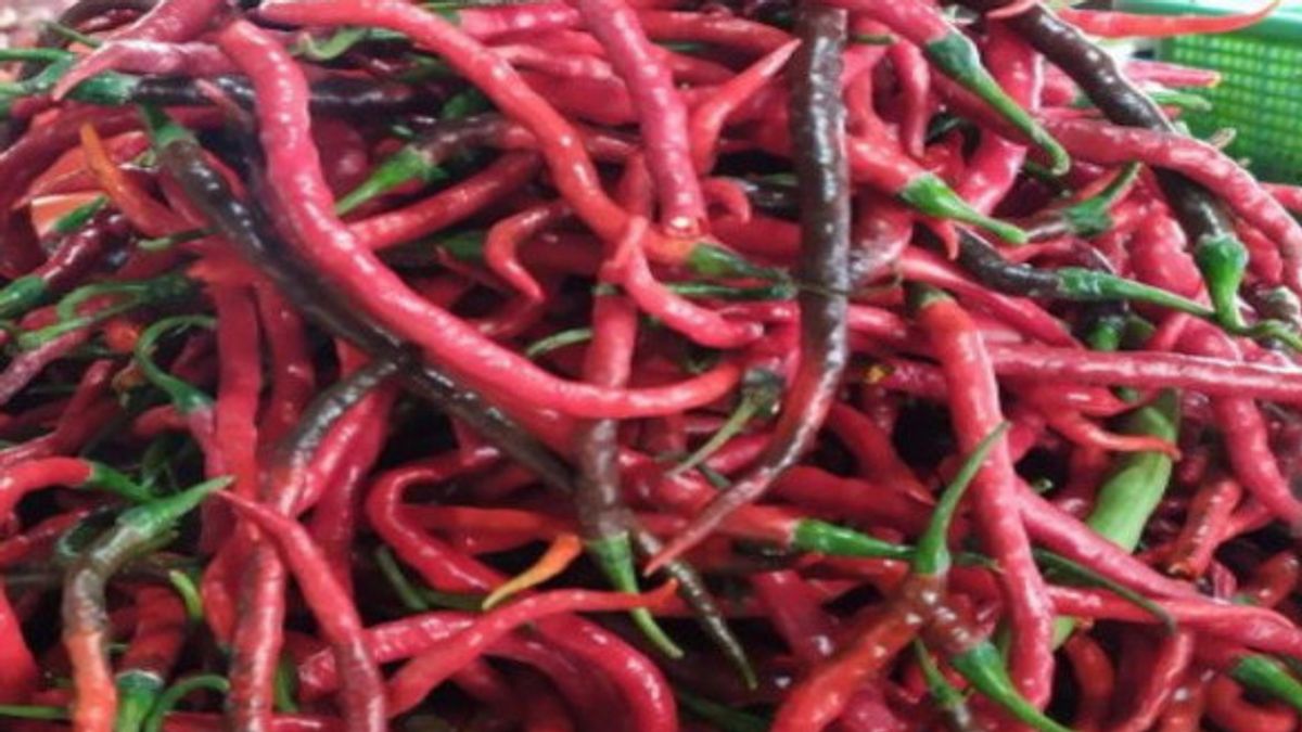 西苏门答腊的辣椒价格达到每公斤70，000印尼盾，贸易部长Zulhas：因为有很多消费，在爪哇，平均为每公斤50，000印尼盾
