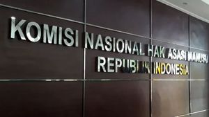 Komnas HAM Minta Kasus Prajurit TNI Mutilasi Warga Mimika Diusut Tuntas