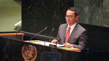 RI Supports The United Nations Resolution On Israel's Population In Palestine