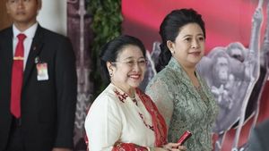 Ini Kata Pengamat soal Pernyataan Megawati Menanggapi Presiden 3 Periode