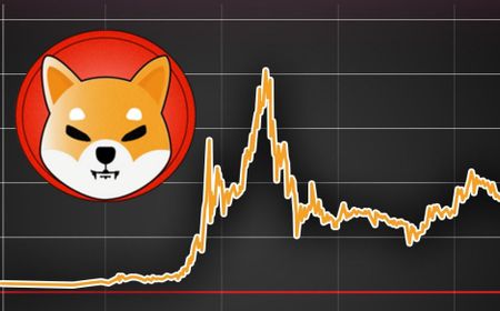 3 Hal yang Wajib Diketahui Sebelum Membeli Token Shiba Inu