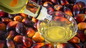 Harga Minyak Goreng Terancam Naik, Biaya Plastik Jadi Biang Kerok