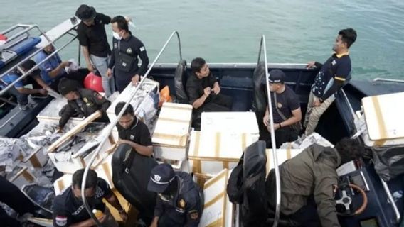 Penyelundupan Benih Lobster Senilai Rp14 Miliar Berhasil Digagalkan! Diduga Dikirim ke Singapura