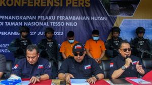Tim Gabungan Tertibkan 36 Pondok Perambah Hutan TNTN Riau